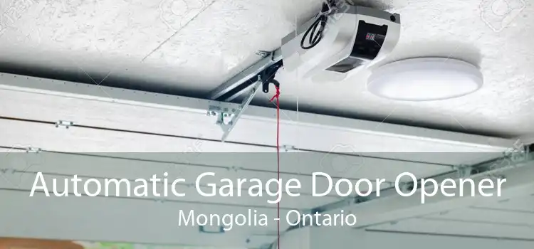 Automatic Garage Door Opener Mongolia - Ontario