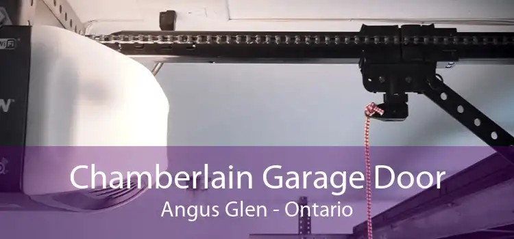 Chamberlain Garage Door Angus Glen - Ontario