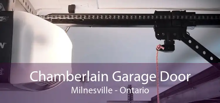 Chamberlain Garage Door Milnesville - Ontario