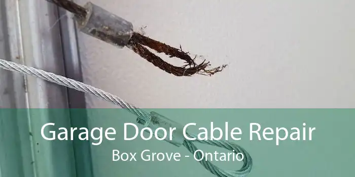 Garage Door Cable Repair Box Grove - Ontario