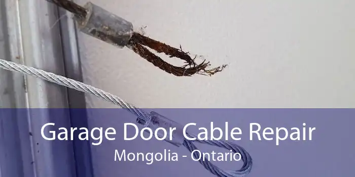 Garage Door Cable Repair Mongolia - Ontario