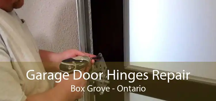 Garage Door Hinges Repair Box Grove - Ontario