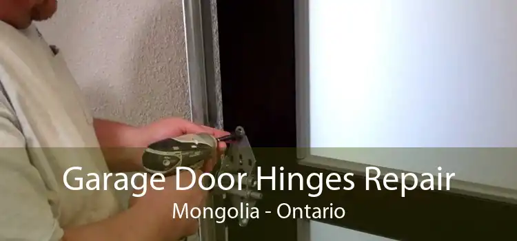 Garage Door Hinges Repair Mongolia - Ontario