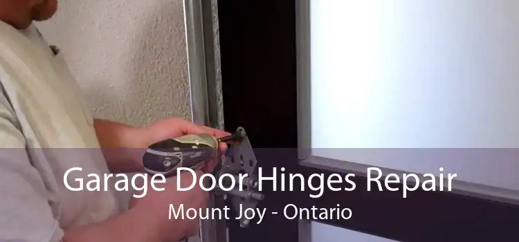 Garage Door Hinges Repair Mount Joy - Ontario