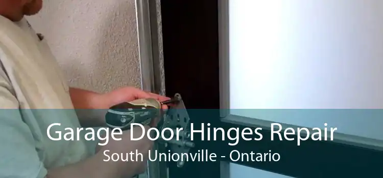 Garage Door Hinges Repair South Unionville - Ontario