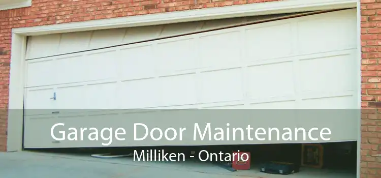 Garage Door Maintenance Milliken - Ontario