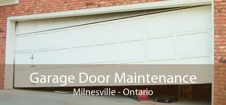 Garage Door Maintenance Milnesville - Ontario