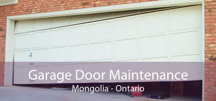 Garage Door Maintenance Mongolia - Ontario