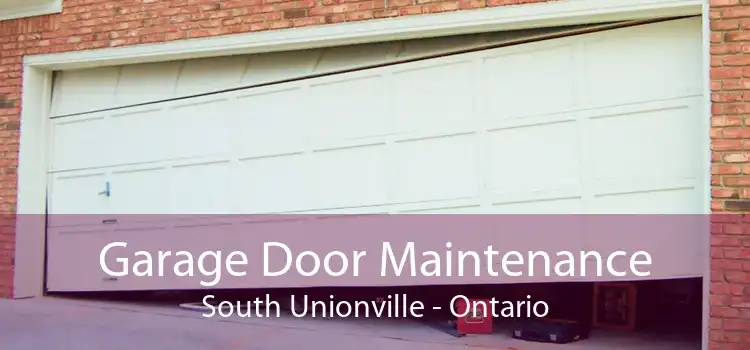 Garage Door Maintenance South Unionville - Ontario