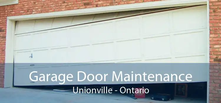 Garage Door Maintenance Unionville - Ontario