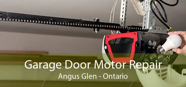 Garage Door Motor Repair Angus Glen - Ontario
