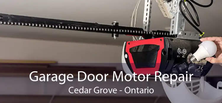 Garage Door Motor Repair Cedar Grove - Ontario