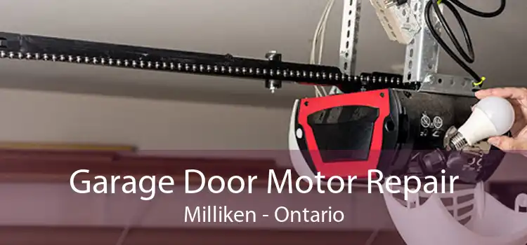 Garage Door Motor Repair Milliken - Ontario