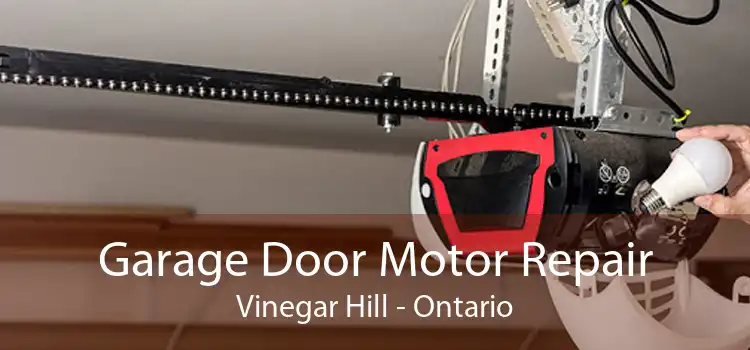 Garage Door Motor Repair Vinegar Hill - Ontario