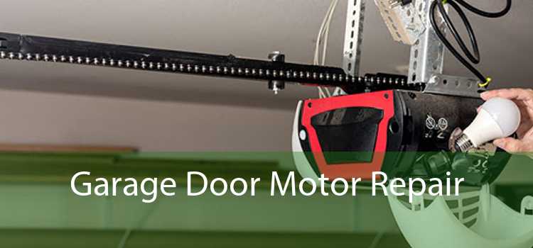 Garage Door Motor Repair 