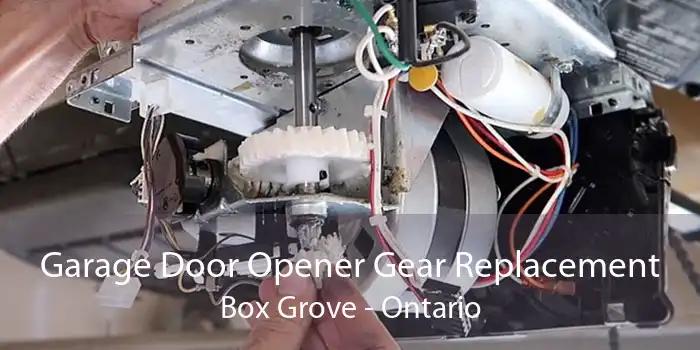 Garage Door Opener Gear Replacement Box Grove - Ontario