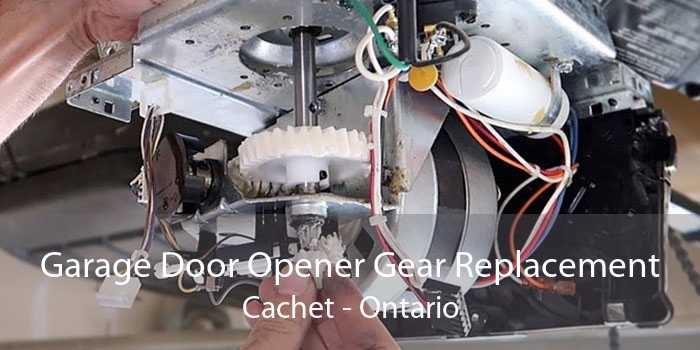 Garage Door Opener Gear Replacement Cachet - Ontario