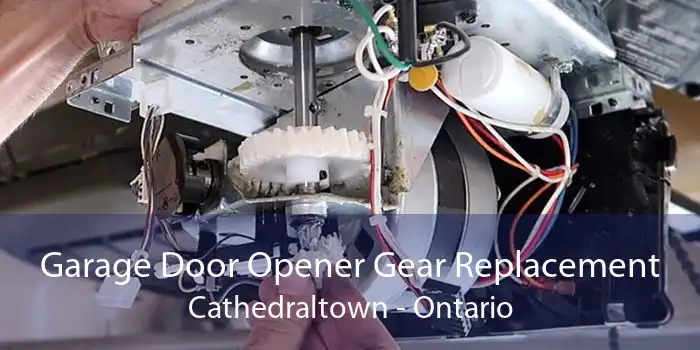 Garage Door Opener Gear Replacement Cathedraltown - Ontario