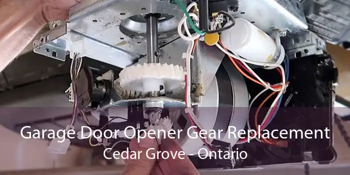 Garage Door Opener Gear Replacement Cedar Grove - Ontario