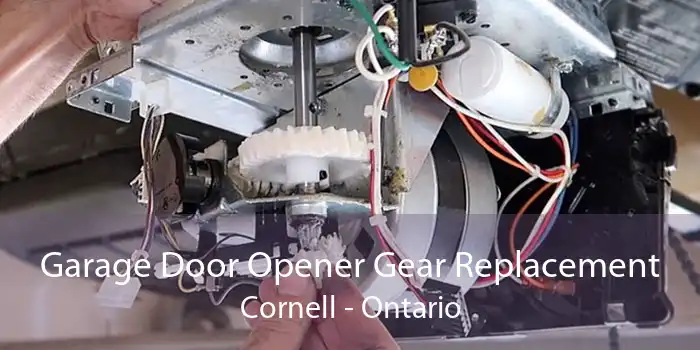 Garage Door Opener Gear Replacement Cornell - Ontario