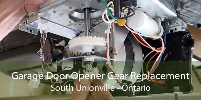 Garage Door Opener Gear Replacement South Unionville - Ontario