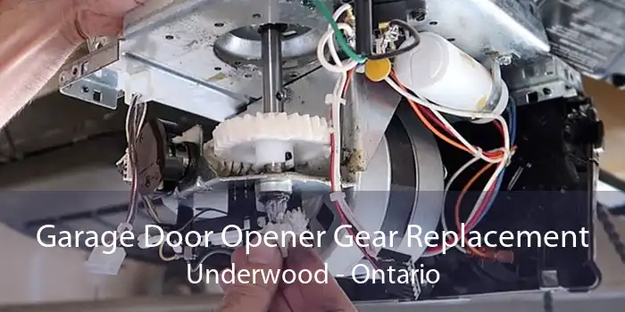 Garage Door Opener Gear Replacement Underwood - Ontario