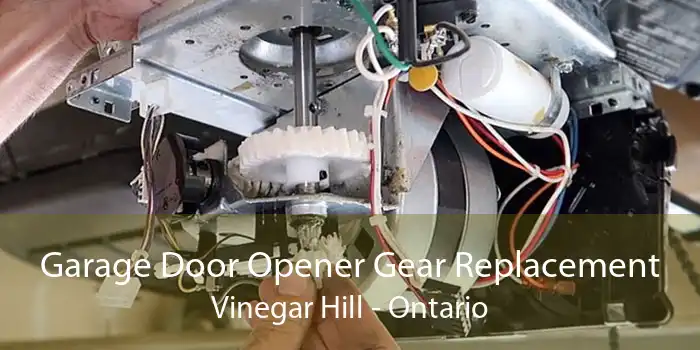 Garage Door Opener Gear Replacement Vinegar Hill - Ontario