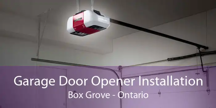 Garage Door Opener Installation Box Grove - Ontario