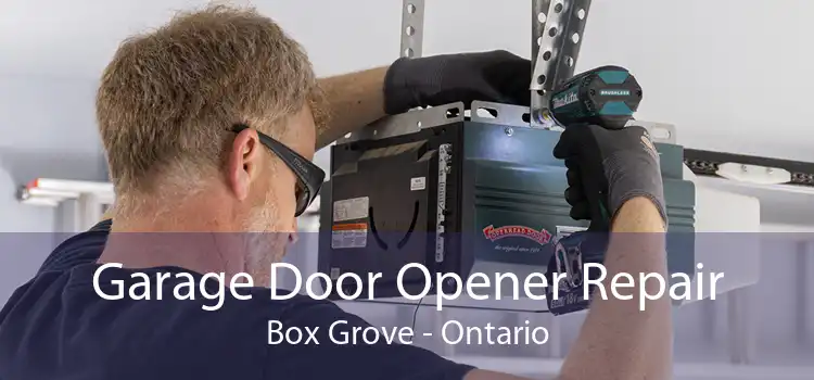 Garage Door Opener Repair Box Grove - Ontario
