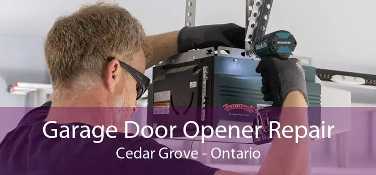 Garage Door Opener Repair Cedar Grove - Ontario