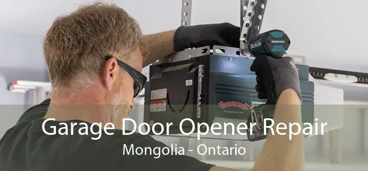 Garage Door Opener Repair Mongolia - Ontario