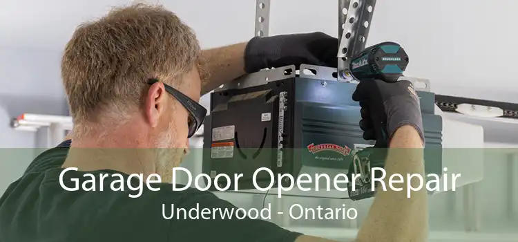 Garage Door Opener Repair Underwood - Ontario