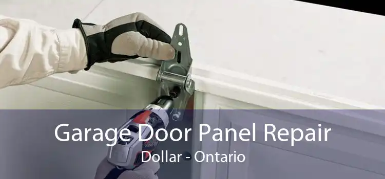 Garage Door Panel Repair Dollar - Ontario