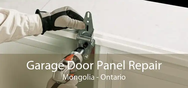 Garage Door Panel Repair Mongolia - Ontario