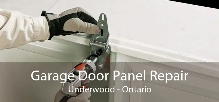 Garage Door Panel Repair Underwood - Ontario