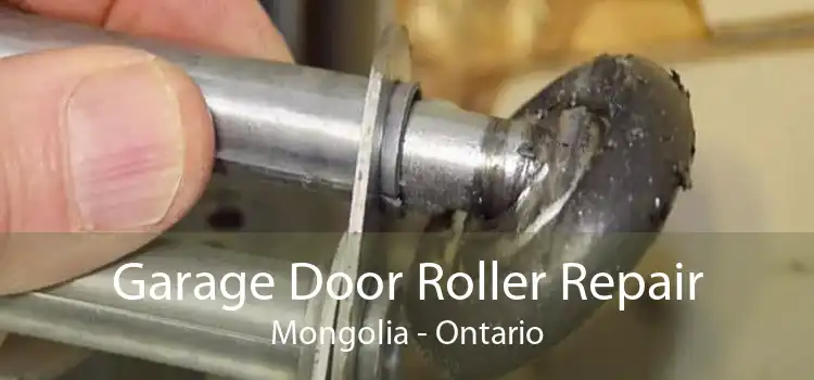 Garage Door Roller Repair Mongolia - Ontario