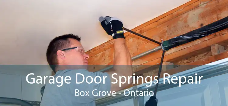 Garage Door Springs Repair Box Grove - Ontario