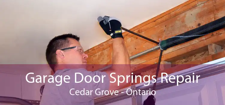 Garage Door Springs Repair Cedar Grove - Ontario