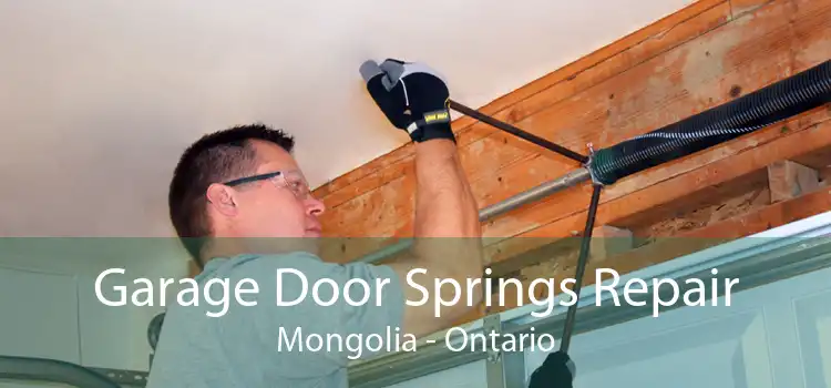 Garage Door Springs Repair Mongolia - Ontario