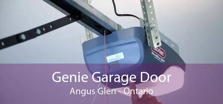 Genie Garage Door Angus Glen - Ontario