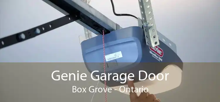 Genie Garage Door Box Grove - Ontario