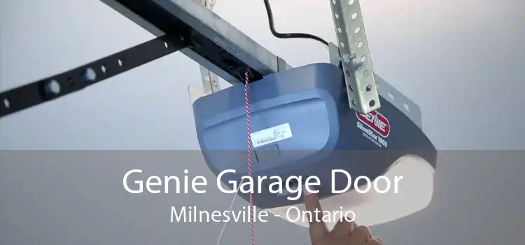 Genie Garage Door Milnesville - Ontario