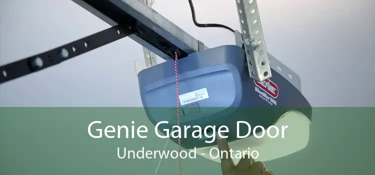Genie Garage Door Underwood - Ontario