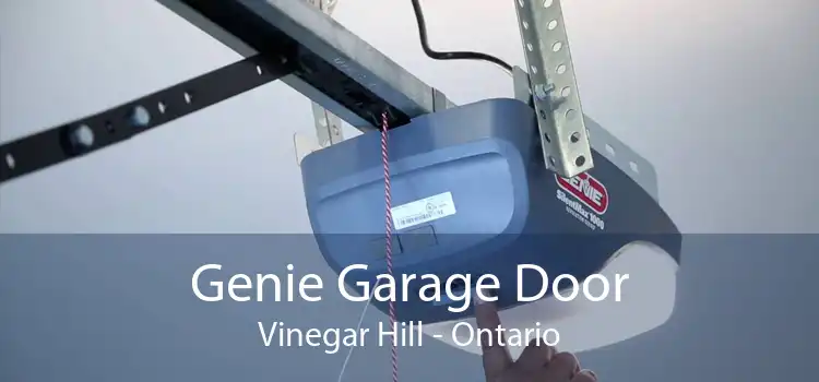 Genie Garage Door Vinegar Hill - Ontario