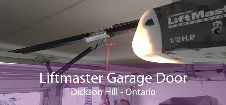 Liftmaster Garage Door Dickson Hill - Ontario