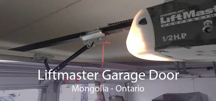 Liftmaster Garage Door Mongolia - Ontario