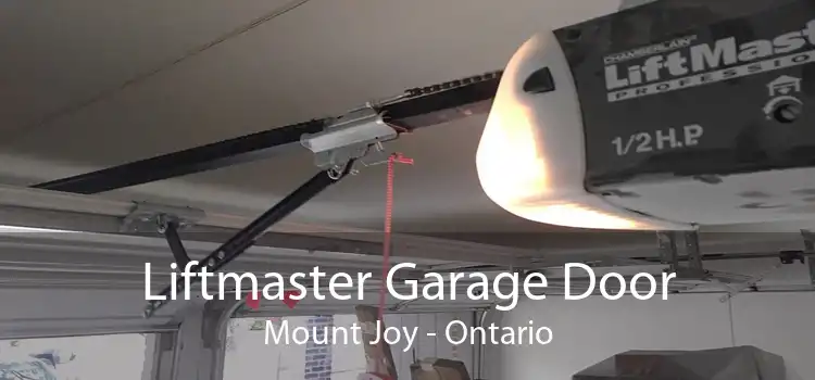 Liftmaster Garage Door Mount Joy - Ontario
