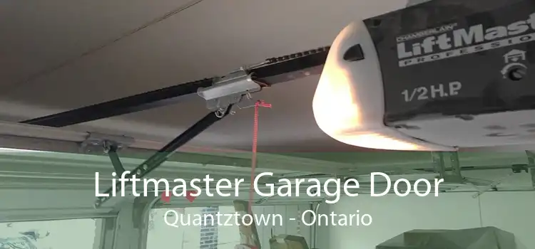 Liftmaster Garage Door Quantztown - Ontario