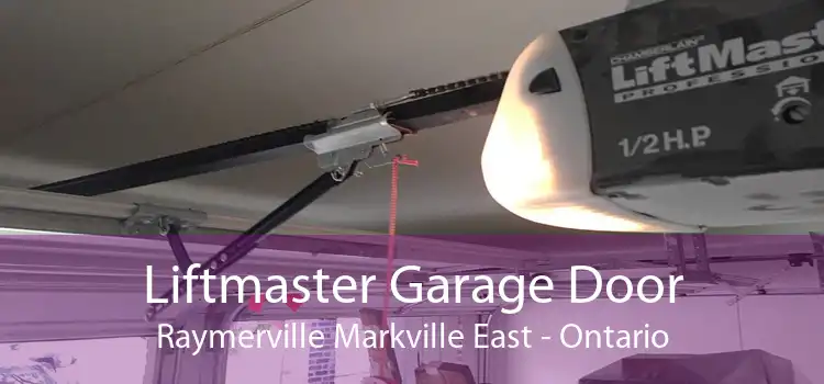 Liftmaster Garage Door Raymerville Markville East - Ontario