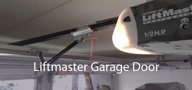 Liftmaster Garage Door 